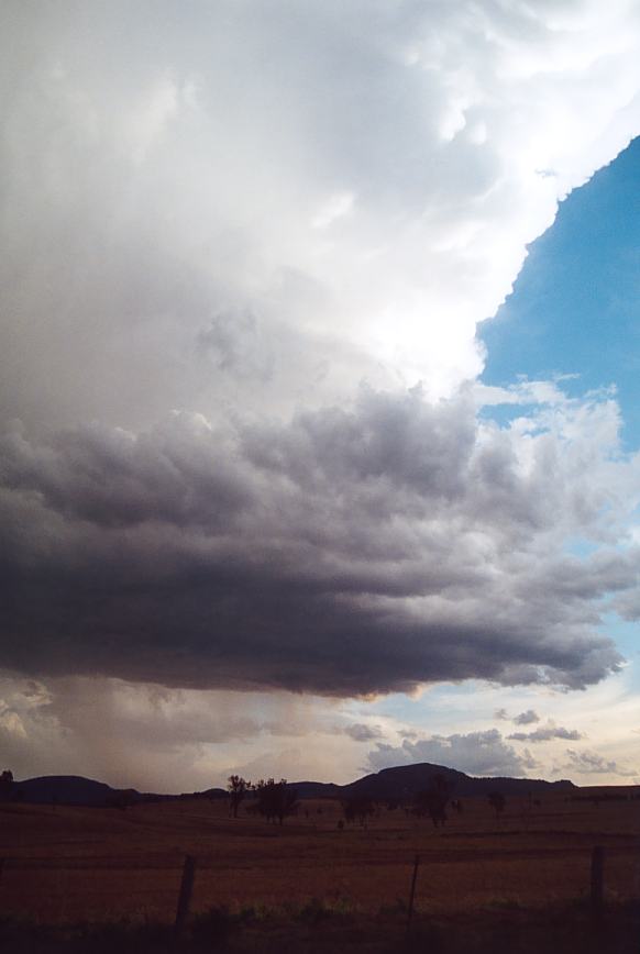 updraft thunderstorm_updrafts : Jerrys Plains, NSW   13 October 2002