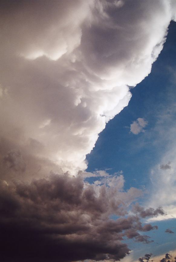 thunderstorm cumulonimbus_incus : Jerrys Plains, NSW   13 October 2002