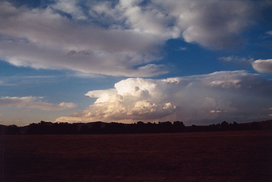 altocumulus altocumulus_cloud : Jerrys Plains, NSW   13 October 2002