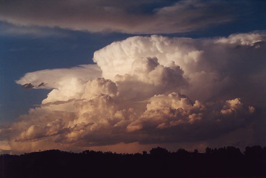 thunderstorm cumulonimbus_incus : Jerrys Plains, NSW   13 October 2002