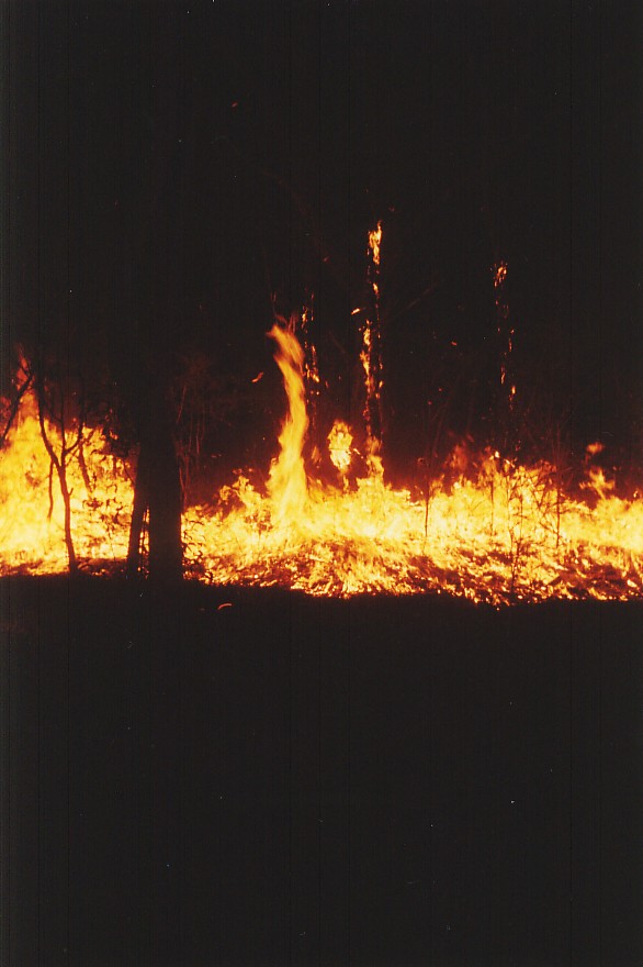 contributions received : Mt Yengo National Park, NSW<BR>Photo by Brett Vilnis   14 October 2002