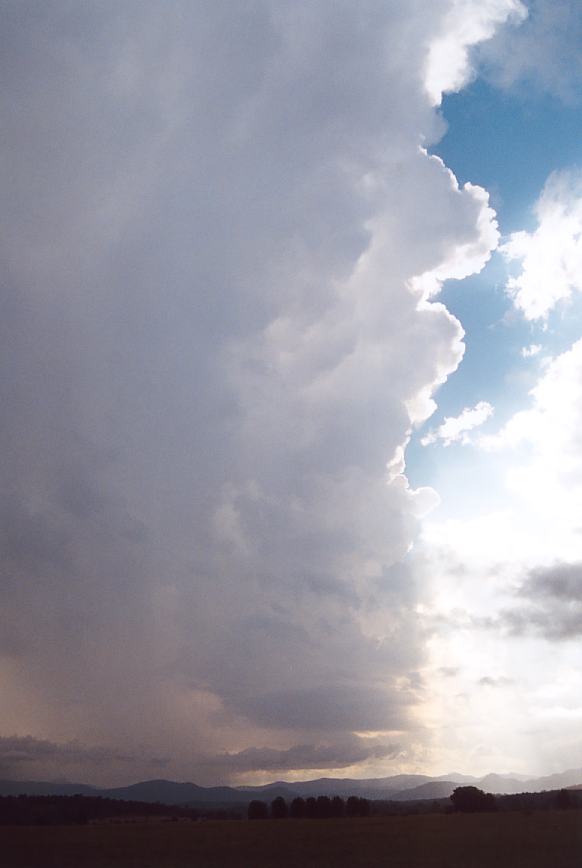 updraft thunderstorm_updrafts : Moruya, NSW   22 November 2002