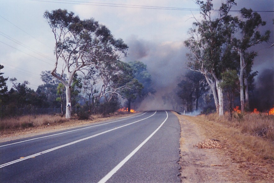 contributions received : Londonderry fires, NSW<BR>Photo by Brett Vilnis   26 November 2002