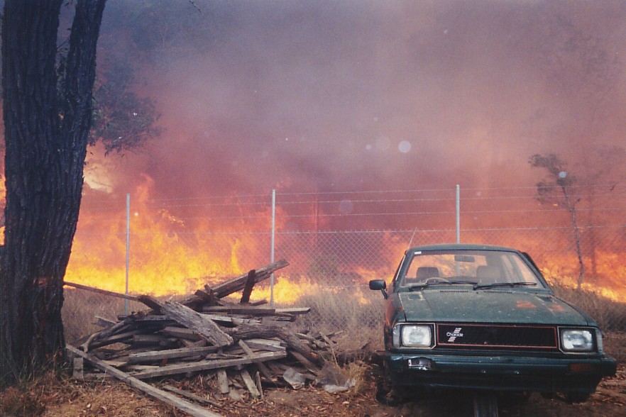 contributions received : Londonderry fires, NSW<BR>Photo by Brett Vilnis   26 November 2002