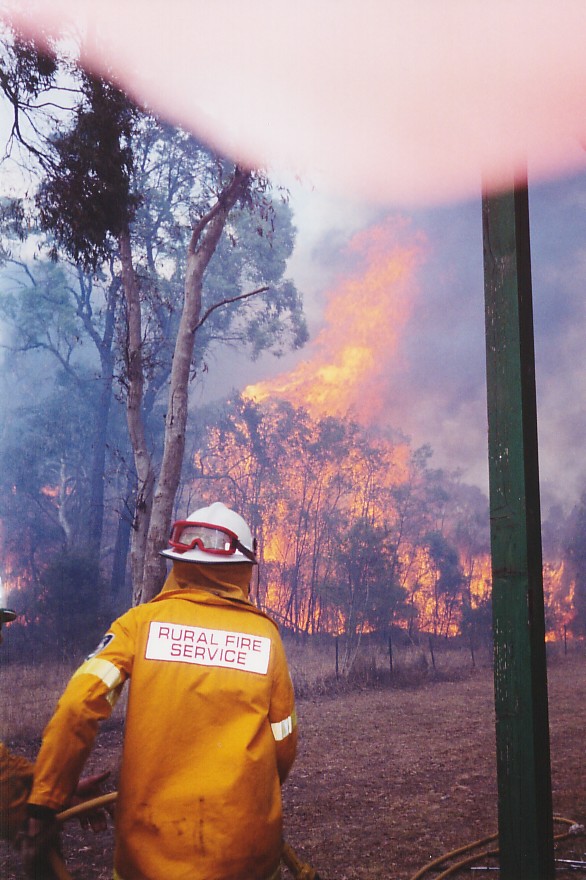 contributions received : Londonderry fires, NSW<BR>Photo by Brett Vilnis   26 November 2002