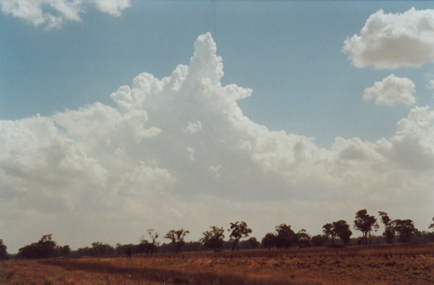 contributions received : W of Wagga Wagga, NSW<BR>Photo by John Sweatman   26 November 2002