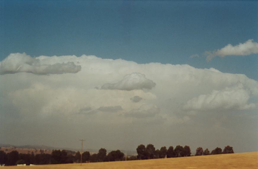 contributions received : E of Wagga Wagga, NSW<BR>Photo by John Sweatman   26 November 2002