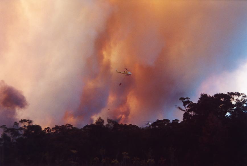 bushfire wild_fire : Glenorie, NSW   4 December 2002