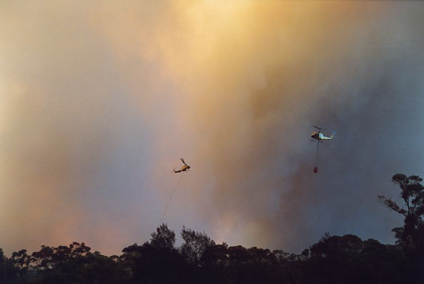 bushfire wild_fire : Glenorie, NSW   4 December 2002