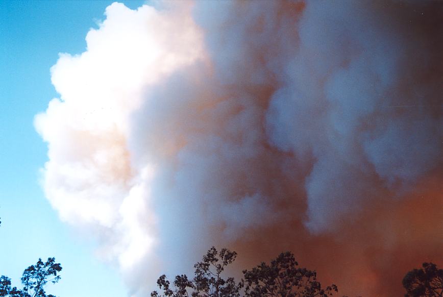 bushfire wild_fire : Glenorie, NSW   4 December 2002