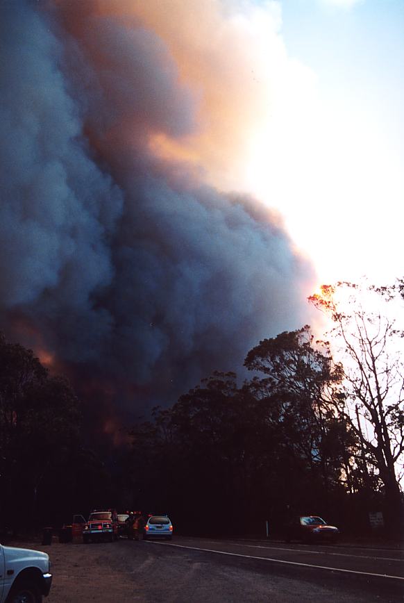 bushfire wild_fire : Glenorie, NSW   4 December 2002