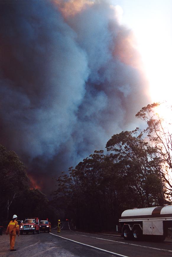 bushfire wild_fire : Glenorie, NSW   4 December 2002