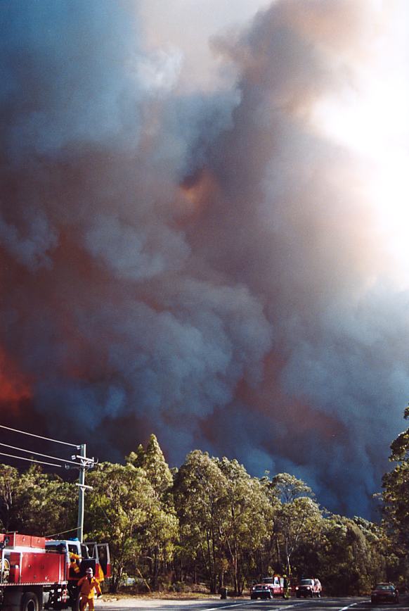 bushfire wild_fire : Glenorie, NSW   4 December 2002