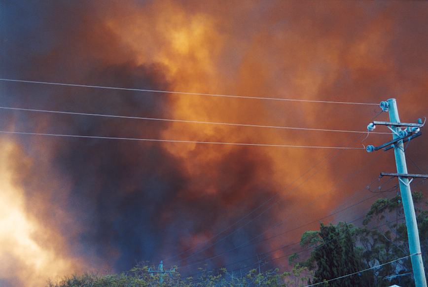 bushfire wild_fire : Glenorie, NSW   4 December 2002