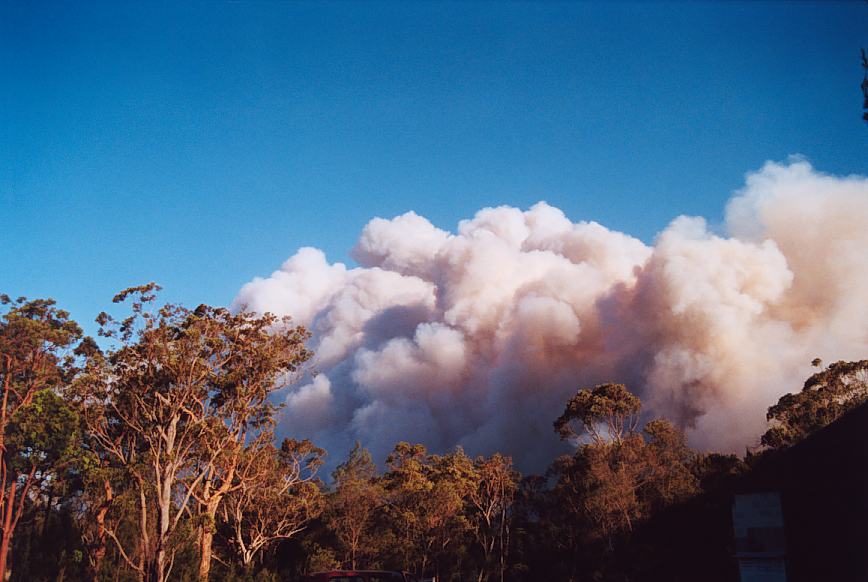 bushfire wild_fire : further N of Glenorie, NSW   4 December 2002