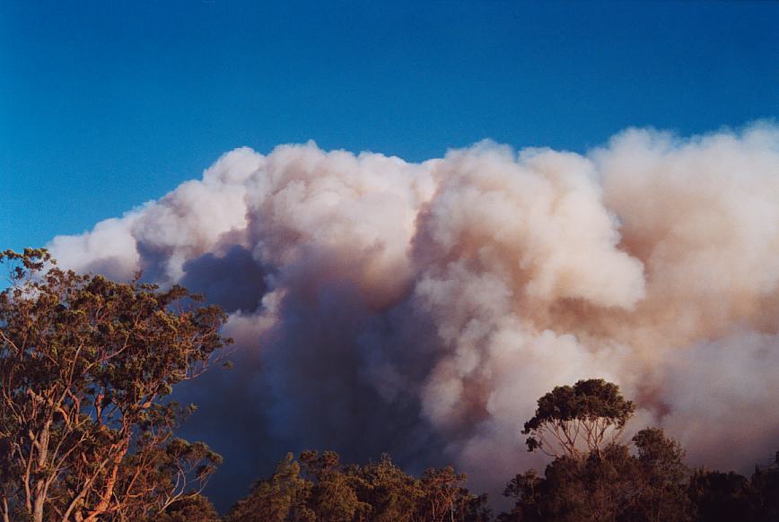 bushfire wild_fire : further N of Glenorie, NSW   4 December 2002