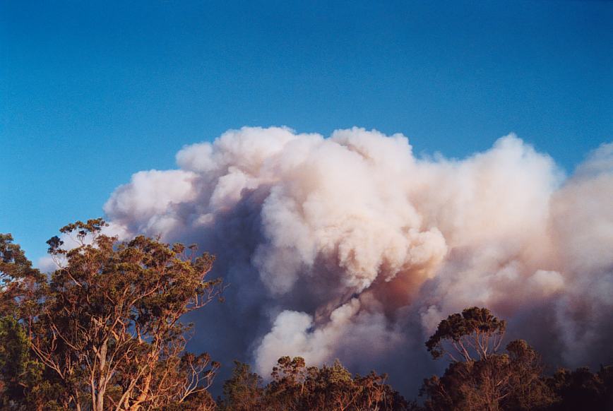 bushfire wild_fire : further N of Glenorie, NSW   4 December 2002