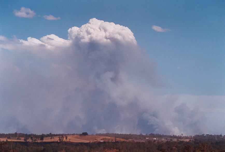 bushfire wild_fire : Rooty Hill, NSW   5 December 2002