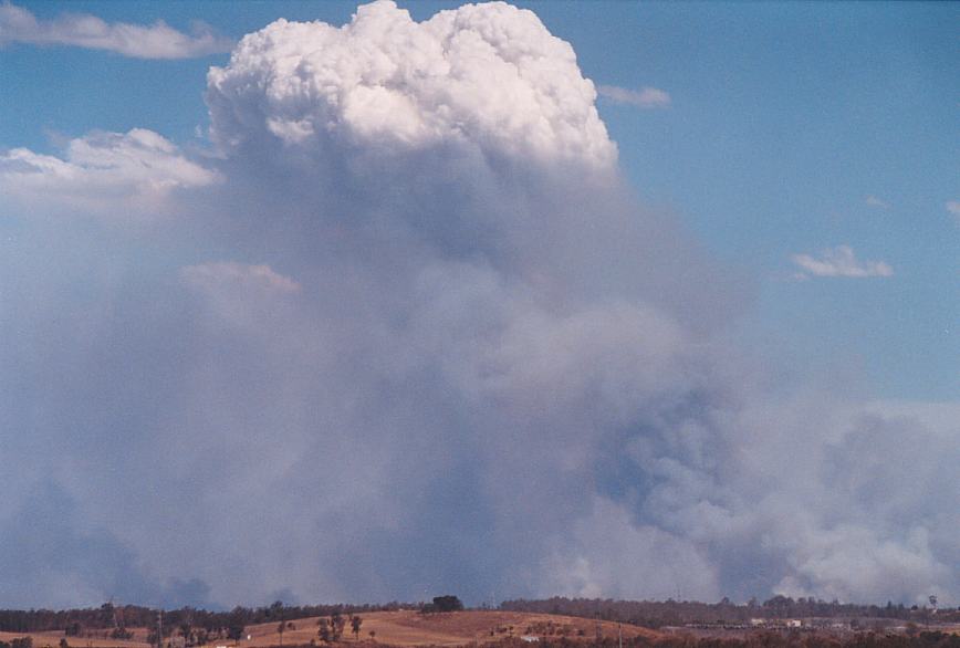 favourites jimmy_deguara : Rooty Hill, NSW   5 December 2002