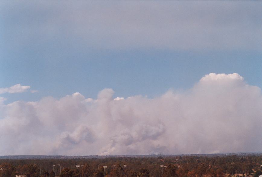 cumulus pyrocumulus : Rooty Hill, NSW   5 December 2002