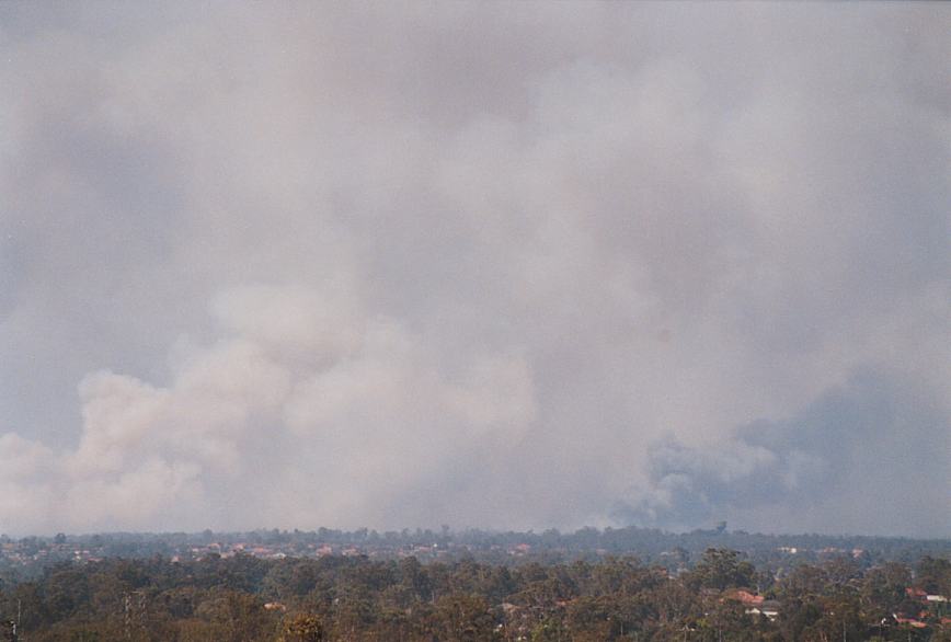 bushfire wild_fire : Rooty Hill, NSW   5 December 2002