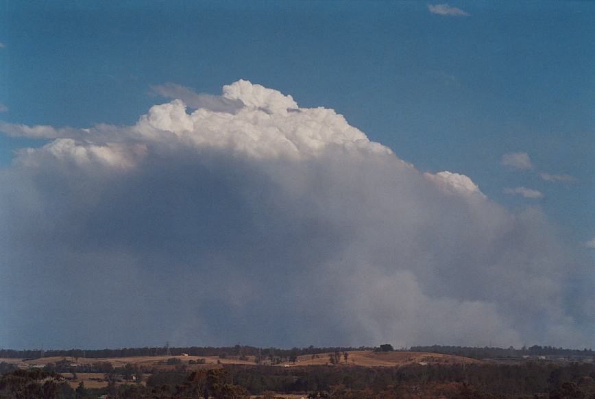 bushfire wild_fire : Rooty Hill, NSW   5 December 2002