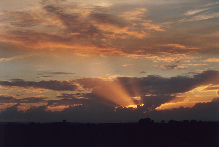 cumulus congestus : Schofields, NSW   7 December 2002