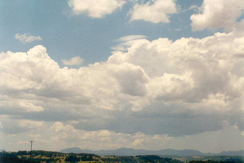 cumulus congestus : Parrots Nest, NSW   15 December 2002