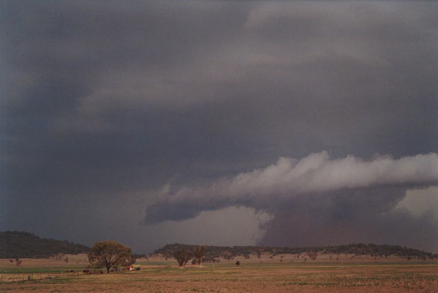 wallcloud thunderstorm_wall_cloud : N of Boggabri, NSW   23 December 2002