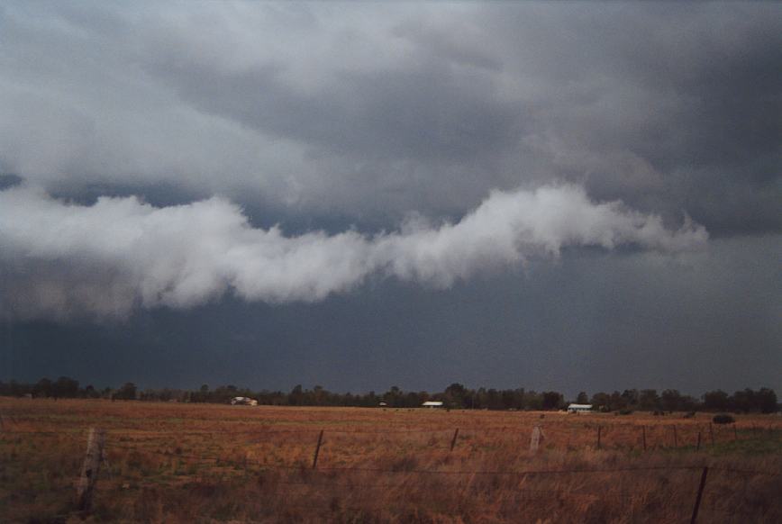 shelfcloud shelf_cloud : Narrabri, NSW   23 December 2002