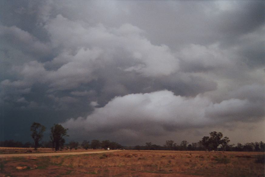 cumulonimbus supercell_thunderstorm : E of Narrabri, NSW   23 December 2002