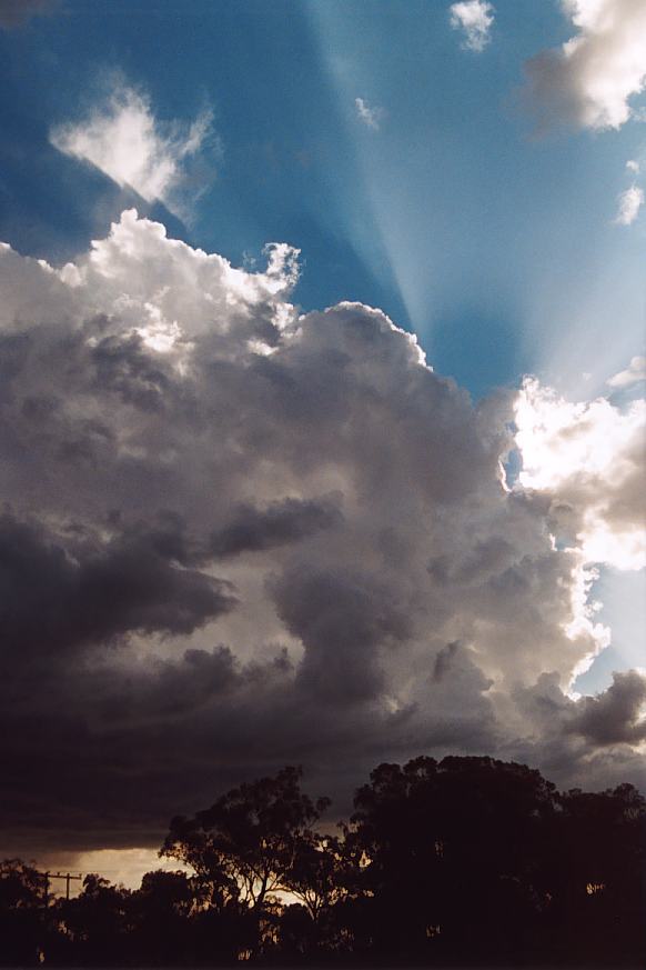 thunderstorm cumulonimbus_calvus : N of Inverell, NSW   24 December 2002