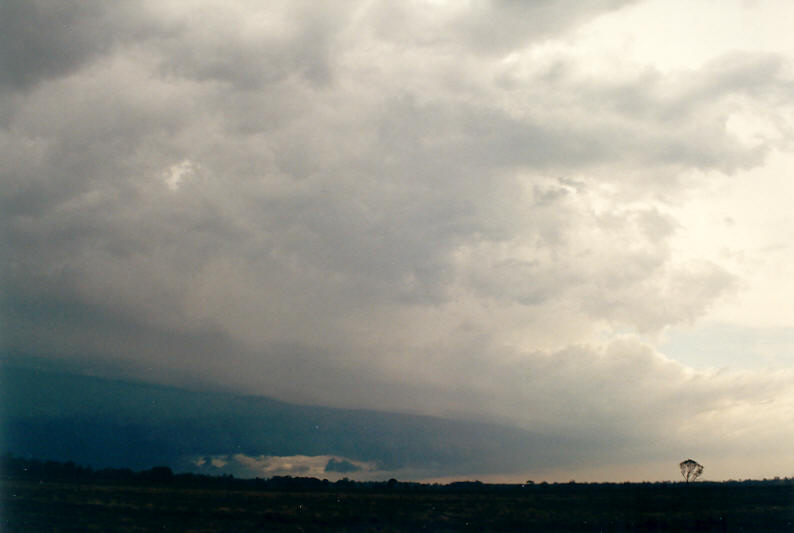 shelfcloud shelf_cloud : Coraki, NSW   24 December 2002