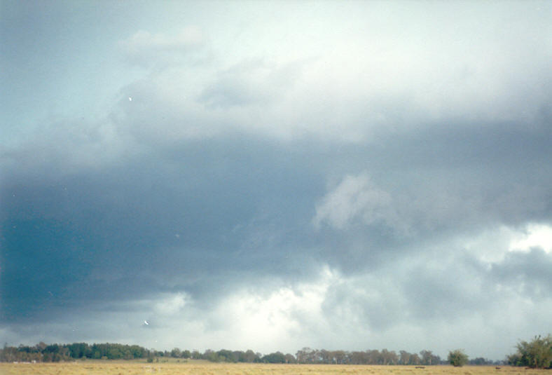 shelfcloud shelf_cloud : Coraki, NSW   24 December 2002