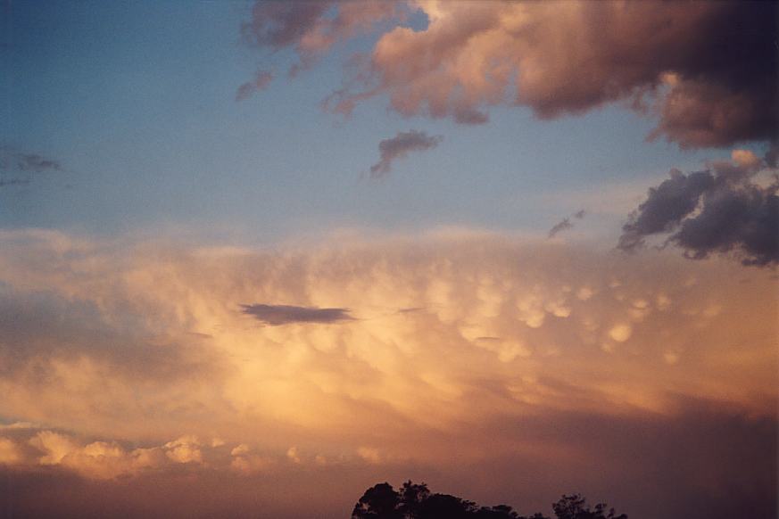 contributions received : Schofields, NSW<BR>Photo by Geoffrey Thurtell   7 January 2003