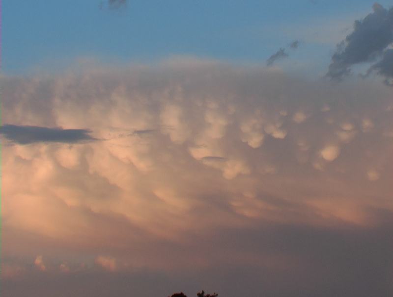 mammatus mammatus_cloud : Schofields, NSW   7 January 2003