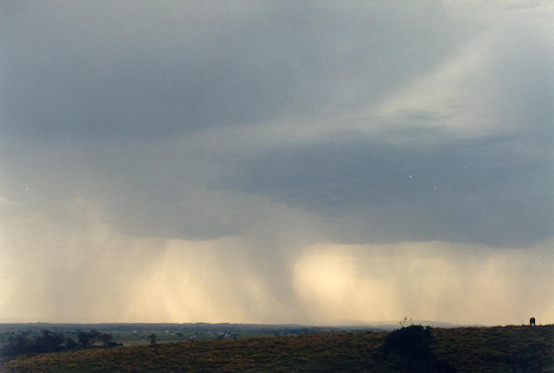 raincascade precipitation_cascade : Parrots Nest, NSW   8 January 2003