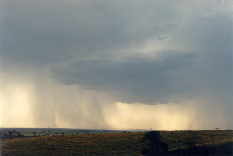 cumulonimbus thunderstorm_base : Parrots Nest, NSW   8 January 2003