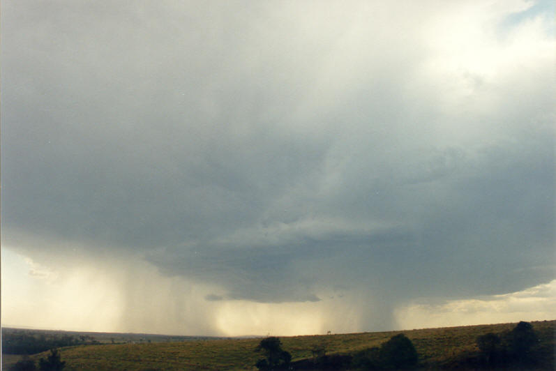 cumulonimbus thunderstorm_base : Parrots Nest, NSW   8 January 2003