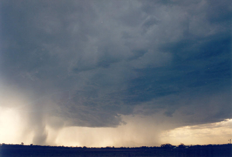 cumulonimbus thunderstorm_base : Parrots Nest, NSW   8 January 2003