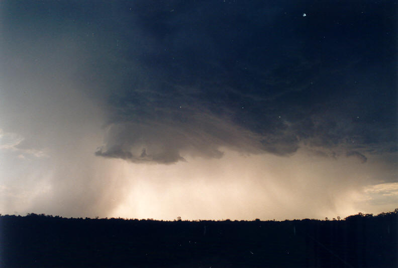 raincascade precipitation_cascade : Parrots Nest, NSW   8 January 2003