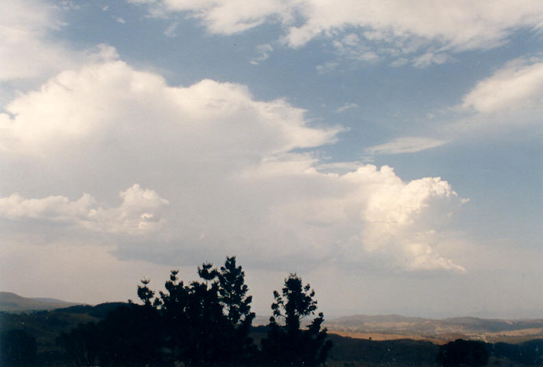 cumulus congestus : Mallanganee NSW   19 January 2003