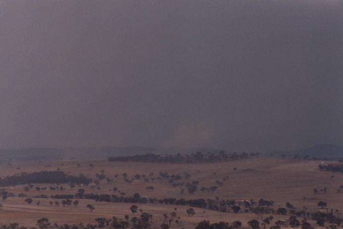 contributions received : Bathurst, NSW<BR>Photo by Jeff Brislane   8 February 2003