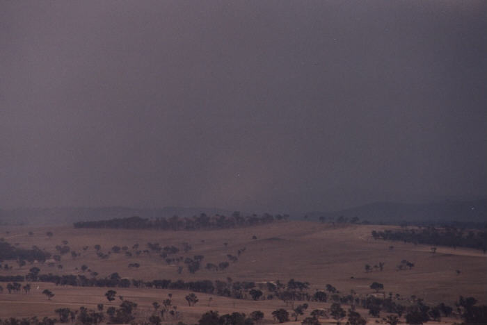 contributions received : Bathurst, NSW<BR>Photo by Jeff Brislane   8 February 2003