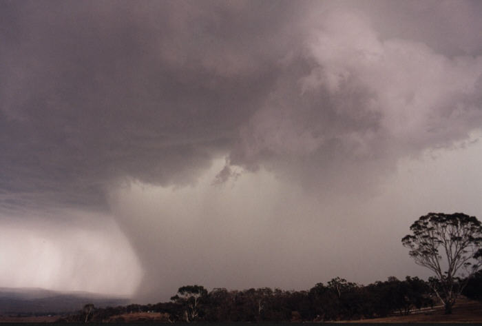 contributions received : Bathurst, NSW<BR>Photo by Jeff Brislane   8 February 2003