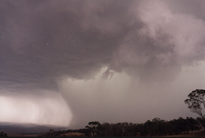 contributions received : Bathurst, NSW<BR>Photo by Jeff Brislane   8 February 2003