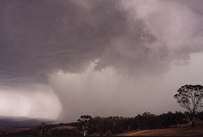 contributions received : Bathurst, NSW<BR>Photo by Jeff Brislane   8 February 2003