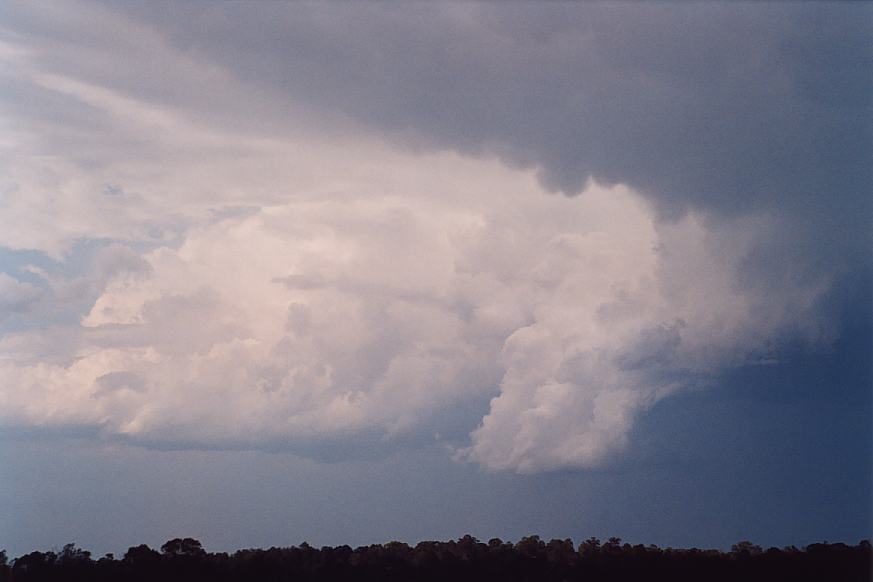 contributions received : Schofields, NSW<BR>Photo by Geoffrey Thurtell   12 February 2003