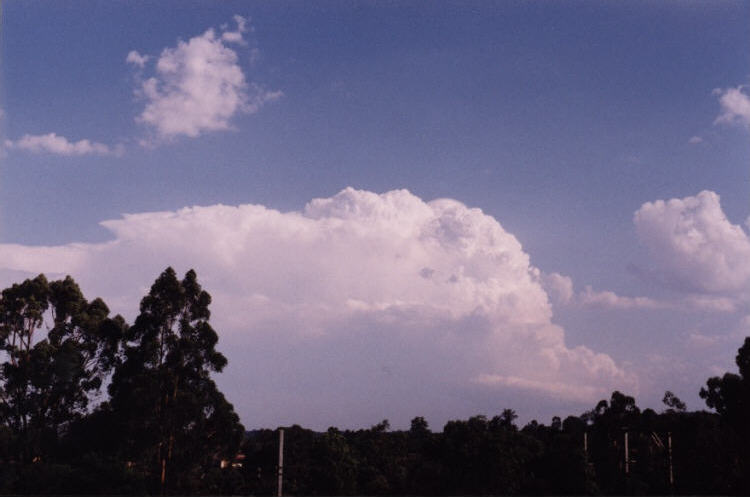 contributions received : Emu Plains, NSW<BR>Photo by Jeff Brislane   12 February 2003