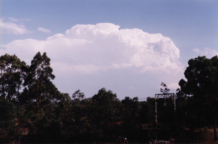 contributions received : Emu Plains, NSW<BR>Photo by Jeff Brislane   12 February 2003